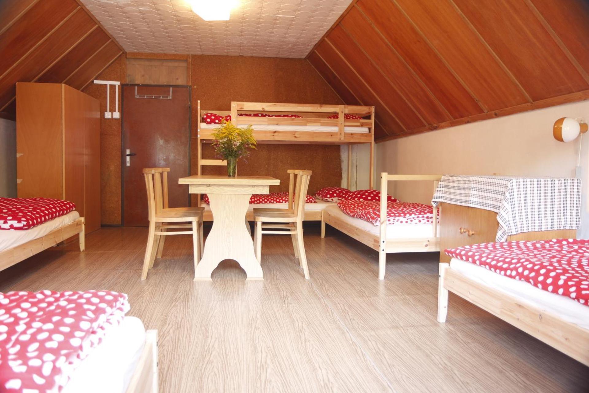 Bila Desna Apartment