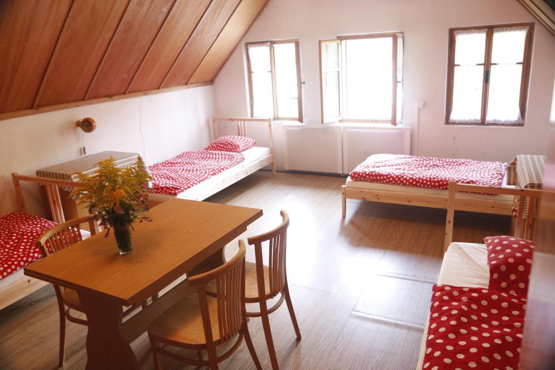 Bila Desna Apartment