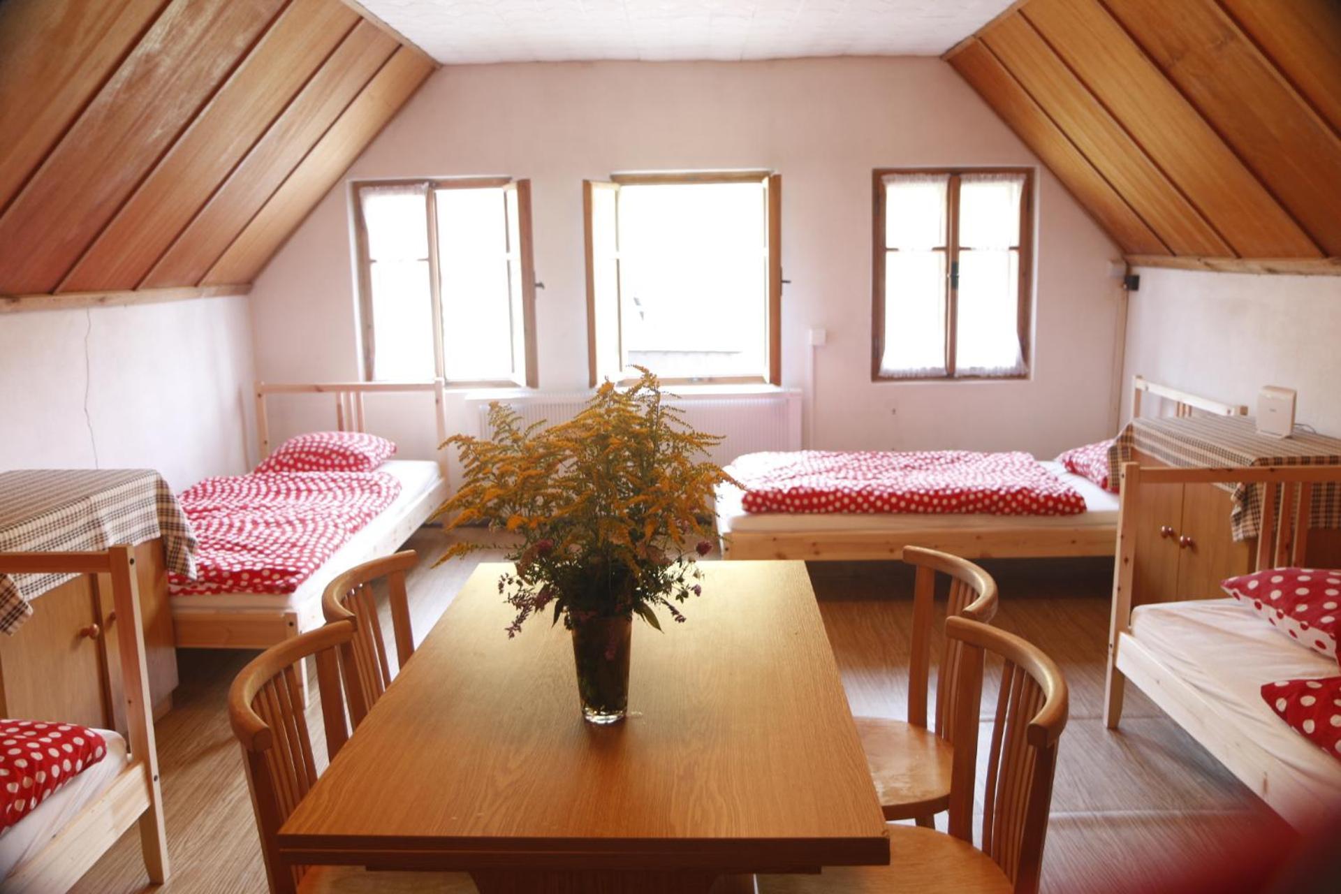 Bila Desna Apartment
